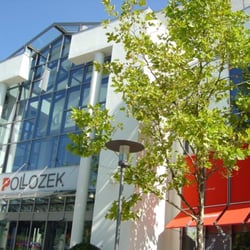 Pollozek