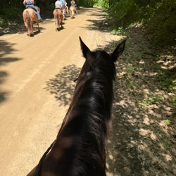 Public Horseback Riding