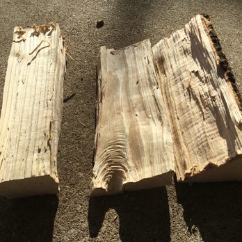 A Professional Tree Service - The wood is actually so fresh, that it has a pink tint on the ends. Terrible - Tree Services Near Me - Lexington, Kentucky
