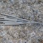 Stepping Stone Acupuncture