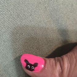 Hollywood Nails - Looks like a deranged bunny not a cat