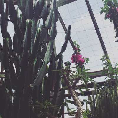 Chinguacousy Park by null