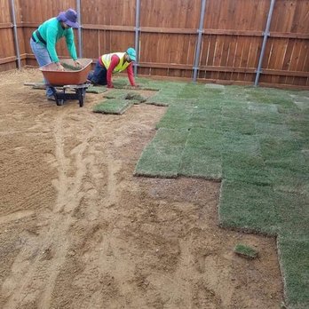 Carlitos Tree And Land Service - Sod installation - Tree Services Near Me Carlitos Tree And Land Service - Sod installation - Tree Services Near Me