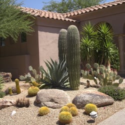 McBride Landscaping and Yard Maintenance