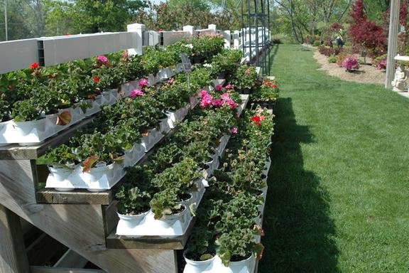 Altiere S Home Garden 8415 South Ave Youngstown Oh Nurseries Mapquest