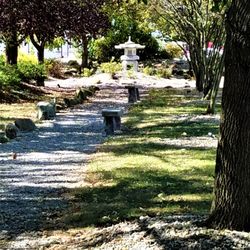 Short trail to Japanese garden