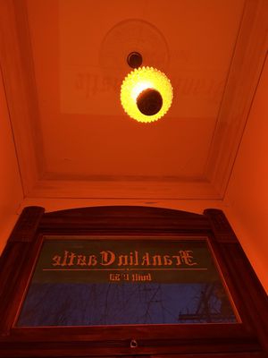 The Franklin Castle (Hannes Tiedemann House) by null