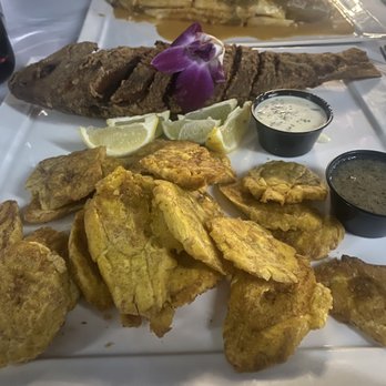 Casa Del Campo - Fried Snapper - Dominican Near Me - North Babylon, New York Casa Del Campo - Fried Snapper - Dominican Near Me - North Babylon, New York