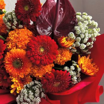 Toms River Florist - Florists Near Me - Toms River, New Jersey Toms River Florist - Florists Near Me - Toms River, New Jersey