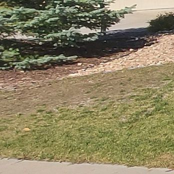 JG Landscaping - Before: the front lawn needing replacing. - Landscaping Near Me - Colorado Springs, Colorado JG Landscaping - Before: the front lawn needing replacing. - Landscaping Near Me - Colorado Springs, Colorado