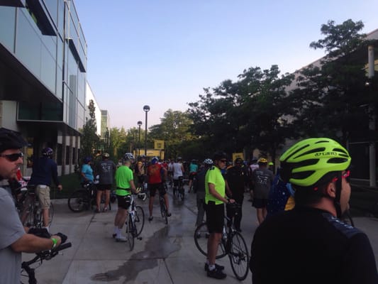 Wayne State University by null