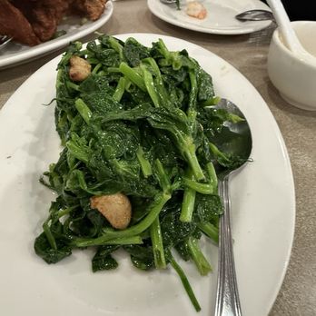 Kim Tar B.B.Q. - Pea leaf - Chinese Near Me - San Jose, California