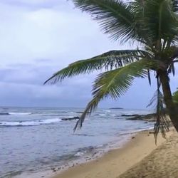 Capitol Beach