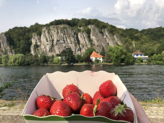 Strawberry Museum and Country Promotion of Wepion by null