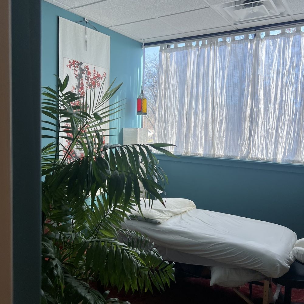 Eastern Integrative Services - Treatment Bed - Acupuncture Near Me - Ann Arbor, Michigan Eastern Integrative Services - Treatment Bed - Acupuncture Near Me - Ann Arbor, Michigan