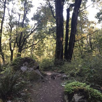 Cape Horn Trail - Hiking Near Me - Skamania, Washington