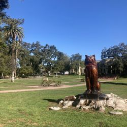 Los Gatos mascot.