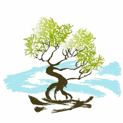 Find Your Balance Acupuncture