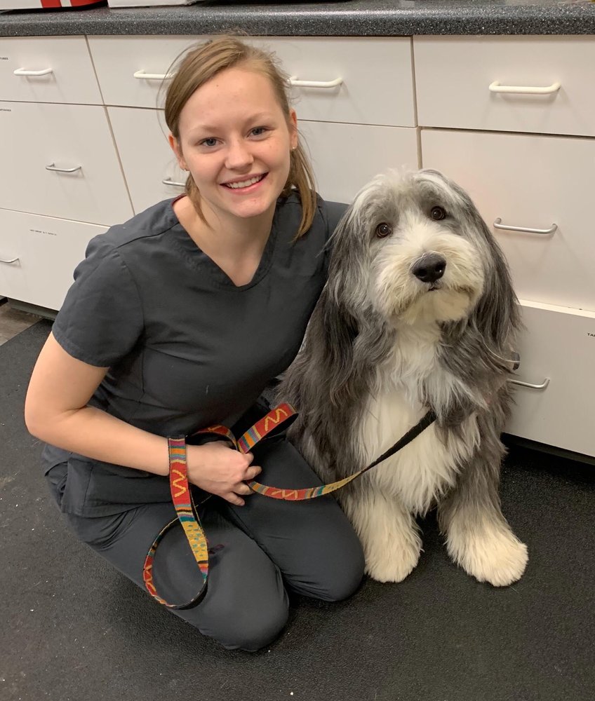 MEBANE PET CLINIC 21 Photos & 11 Reviews Veterinarians 900 Mebane