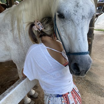 Bar-B-Ranch - Horseback Riding Near Me - Davie, Florida Bar-B-Ranch - Horseback Riding Near Me - Davie, Florida