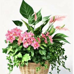 This is the Tropical Treasures listed on Blossom Florist website, I order (2) and never received what I paid for!!!