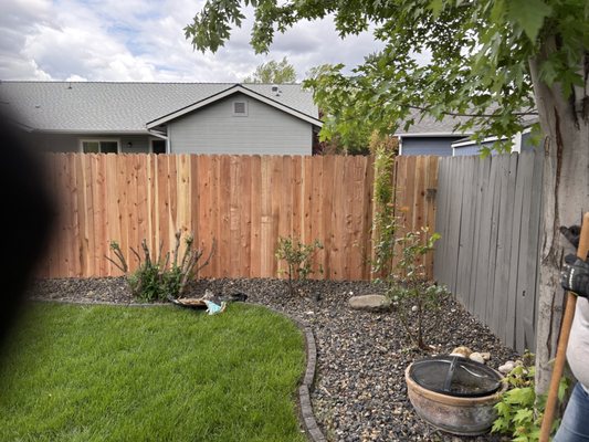 Not Your Average Joe