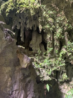 Parque Nacional de las Cavernas del Río Camuy by null