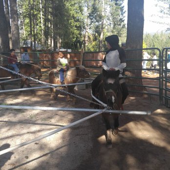 High Hill Ranch - Pony Ride - Donuts Near Me - Placerville, California