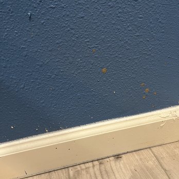 Empire Today - Carpet Installation Near Me