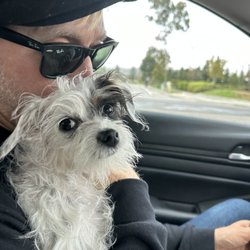 Crusin