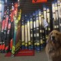 Photo of Rodgers Ski & Sport