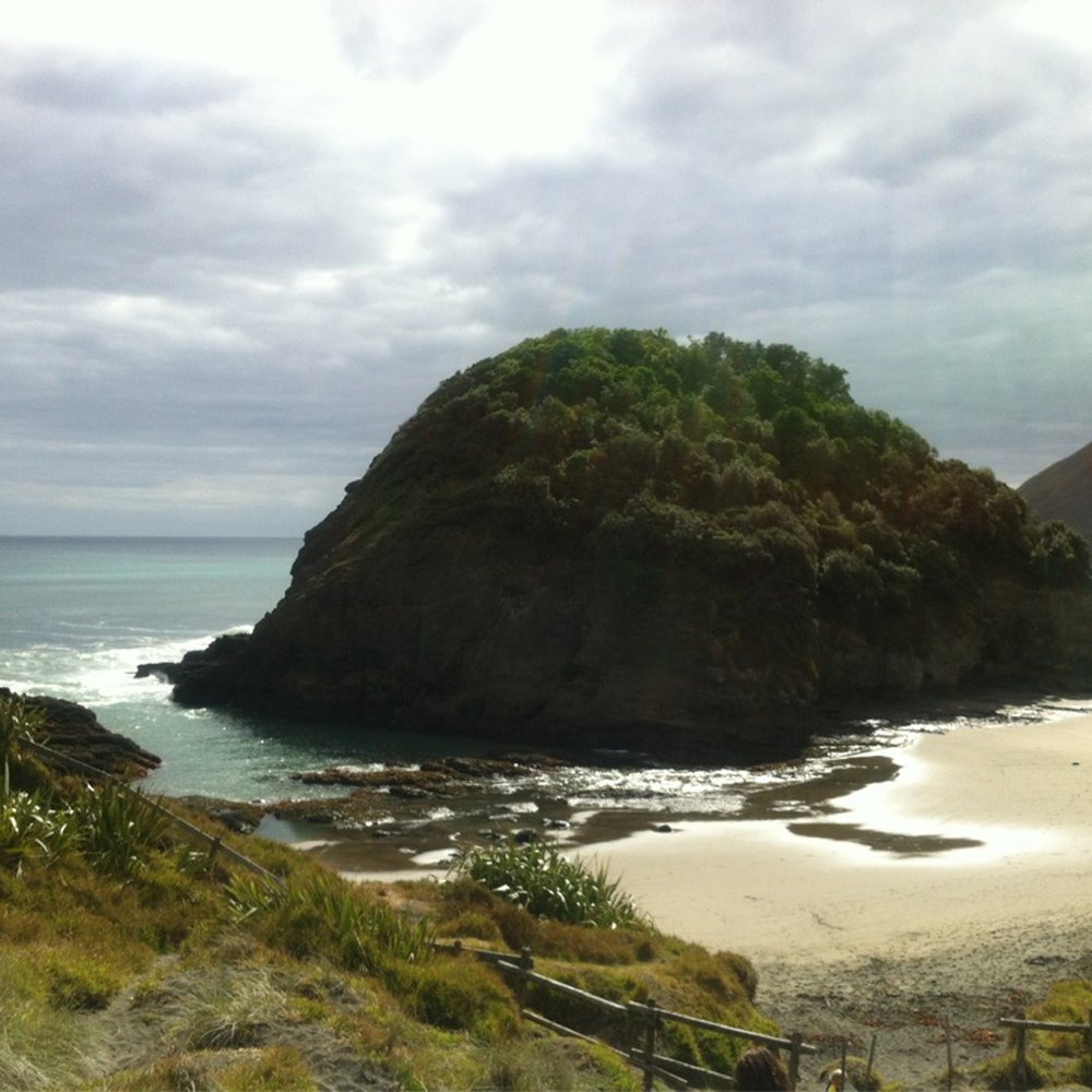 O'neils Bay and Beach - Looking down at O'neils Beach - Local Flavor Near Me - Auckland, AUK