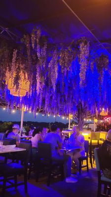 Vistamar Restaurant & Lounge by null