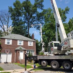 A and H Tree Service - 60 ton Crane for hard to reach trees