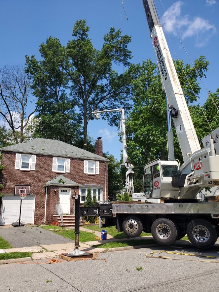 A and H Tree Service - tree service in Northvale, NJ