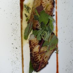 Le Camerelle - Black cod "camerelle style"