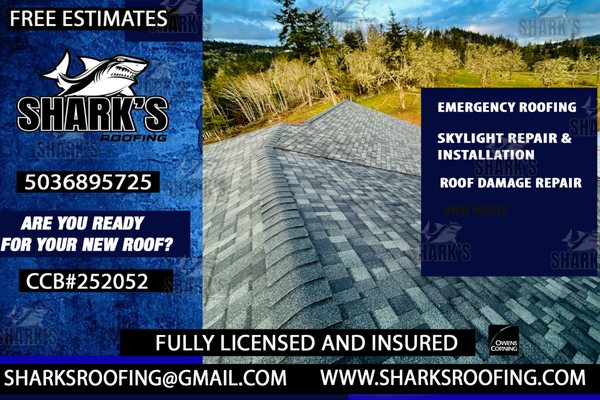 Shark's Roofing