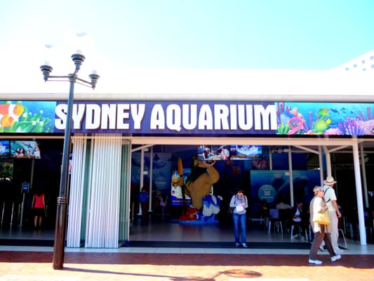 SEA LIFE Sydney Aquarium by null