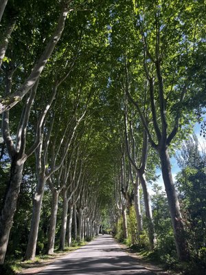 Campo del Moro by null