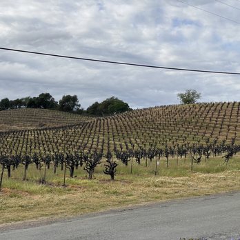 Pedroncelli Winery - Wineries Near Me - Geyserville, California