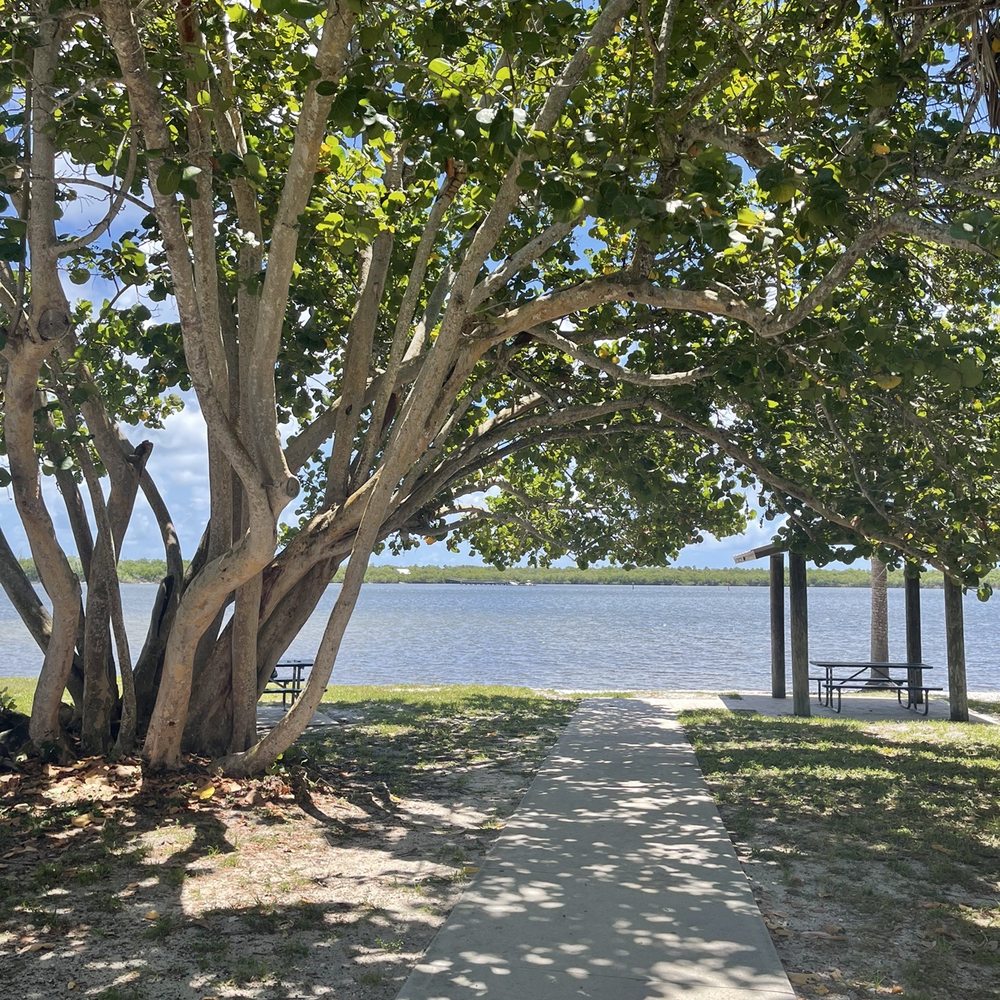 Cove Road Park - Small Beach area just beyond shade tree - Parks Near Me - Stuart, Florida Cove Road Park - Small Beach area just beyond shade tree - Parks Near Me - Stuart, Florida