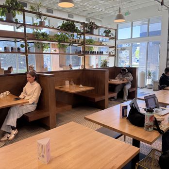 Loyal Coffee - Seating - Coffee & Tea Near Me - Colorado Springs, Colorado Loyal Coffee - Seating - Coffee & Tea Near Me - Colorado Springs, Colorado