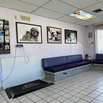 Nordhoff Veterinary Hospital - Waiting room-super clean - Veterinarians Near Me - Chatsworth, California Nordhoff Veterinary Hospital - Waiting room-super clean - Veterinarians Near Me - Chatsworth, California