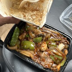 Plymouth Garden - Mongolian beef