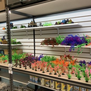 Elite Koi - Local Fish Stores Near Me - West Palm Beach, Florida Elite Koi - Local Fish Stores Near Me - West Palm Beach, Florida