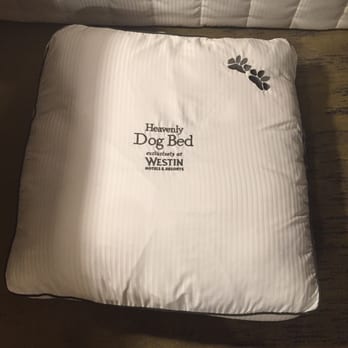 The Westin - They hooked our doggie up! - Hotels Near Me - The Woodlands, Texas The Westin - They hooked our doggie up! - Hotels Near Me - The Woodlands, Texas