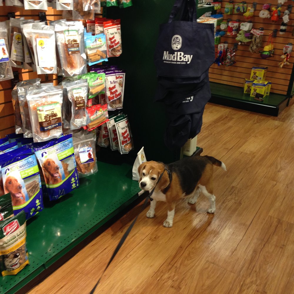 Don't disturb the beagle when he's shopping :-) Don't disturb the beagle when he's shopping :-)