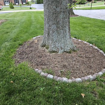 TrueCare Landscaping - Paid Leon, he asked for a tip, gave 200 tip...BEWARE - Landscaping Near Me TrueCare Landscaping - Paid Leon, he asked for a tip, gave 200 tip...BEWARE - Landscaping Near Me