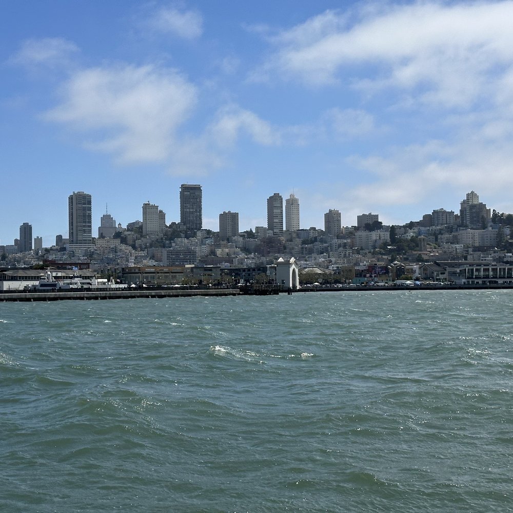 SF Bay Whale Watching - San Francisco Bay - Tours Near Me - San Francisco, California SF Bay Whale Watching - San Francisco Bay - Tours Near Me - San Francisco, California