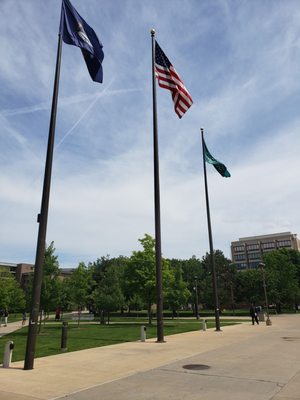 Wayne State University by null